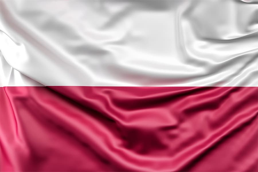 polonia-steag